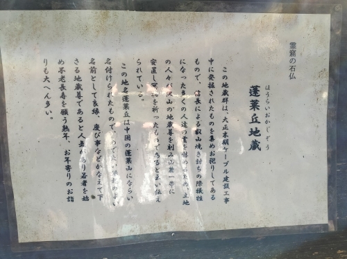 IMG20250430085445.jpg