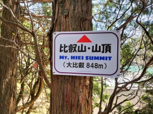 IMG20250430111310.jpg