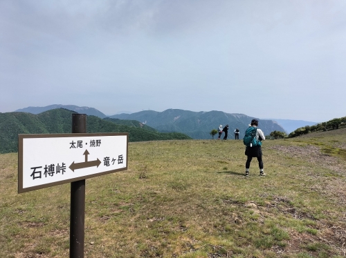 IMG20250523094819.jpg