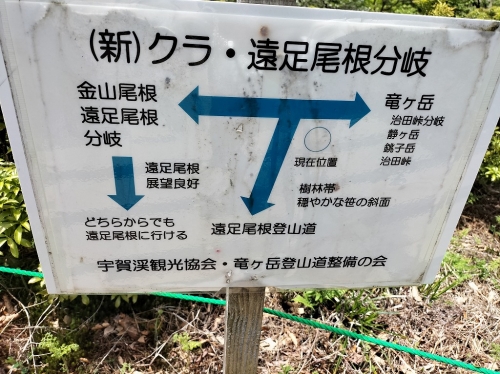 IMG20250523103912.jpg