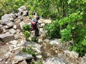 IMG20250523130205.jpg