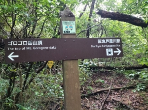 IMG20250616084143.jpg