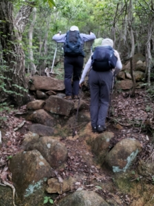 IMG20250616090542.jpg