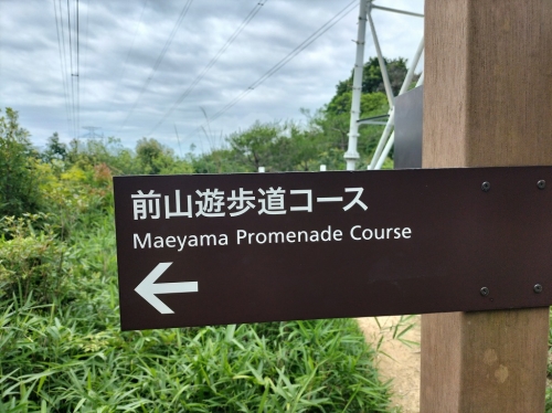 IMG20250616105736.jpg