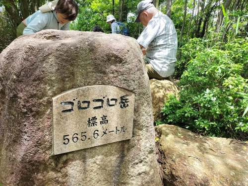 IMG20250616112342.jpg