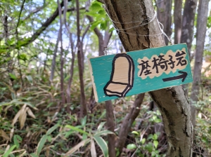 IMG20250616121611.jpg