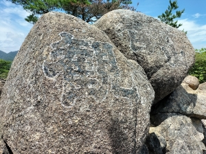IMG20250616123547.jpg