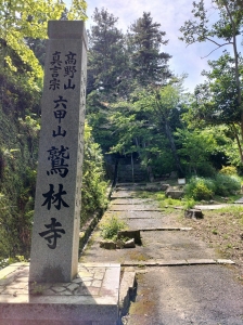 IMG20250616140441.jpg
