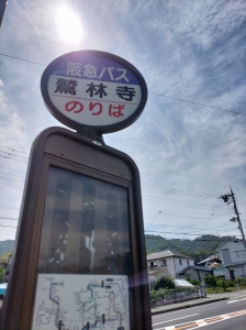 IMG20250616141745.jpg
