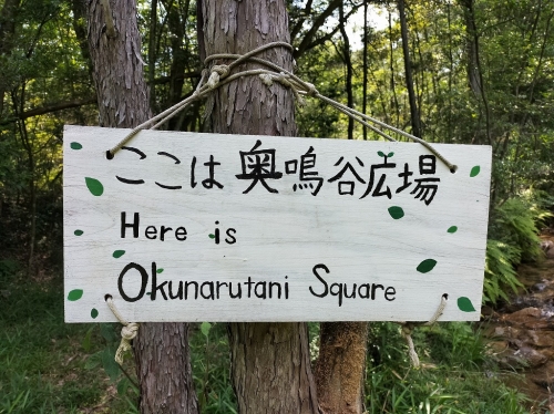 IMG20250620100819.jpg