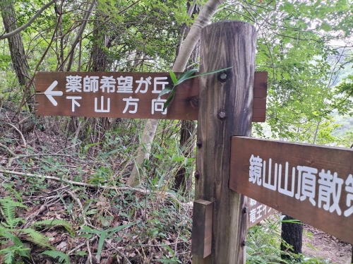 IMG20250620114721.jpg