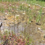 IMG20250620115153.jpg