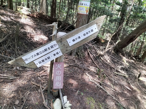 IMG20250720111022.jpg
