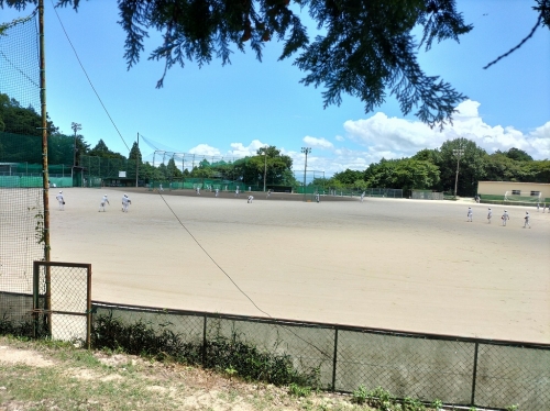 IMG20250720115549.jpg