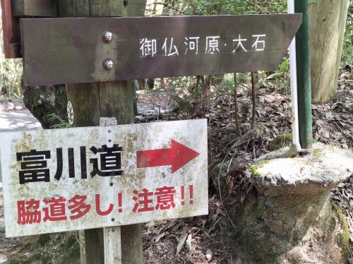 IMG20250831120328.jpg