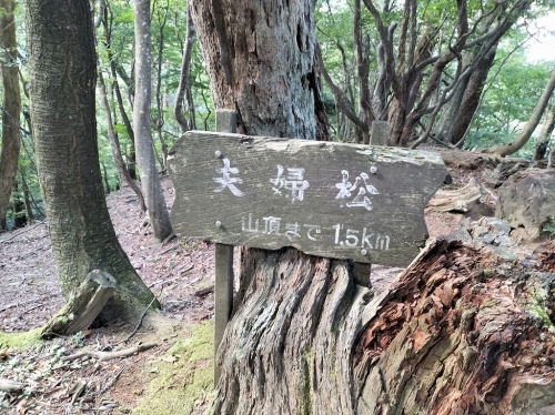 IMG20250907090716.jpg