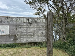 image8.jpeg