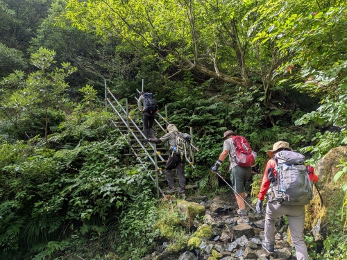 登山口から樹林帯-2.jpg