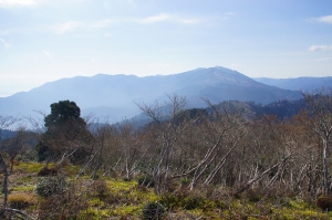 西峰から武奈ヶ岳.jpg