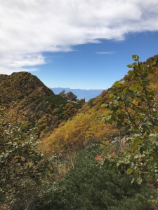 駒ヶ岳下山.JPG