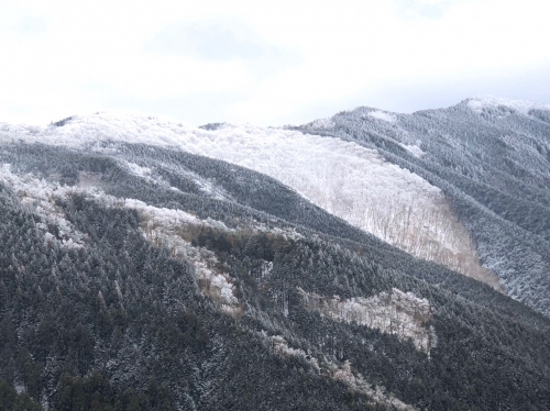 自然の造形美 霧氷 を求めて 例会山行ブログ 山行ブログ 湖南岳友会のホームページ