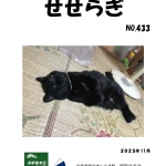 2025年11月号「せせらぎ」HP.jpg