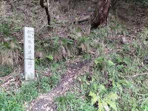IMG20250531090131.jpg
