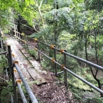 IMG20250531092149.jpg