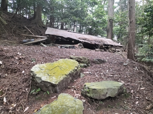 IMG20250531095914.jpg