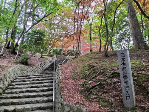 IMG20250531103228.jpg