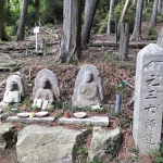 IMG20250531114400.jpg