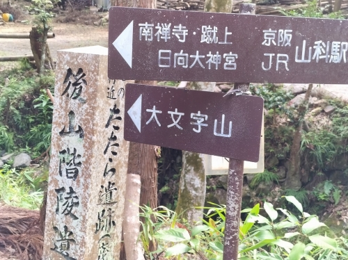 IMG20250815084638.jpg