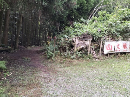 IMG20250815133120.jpg